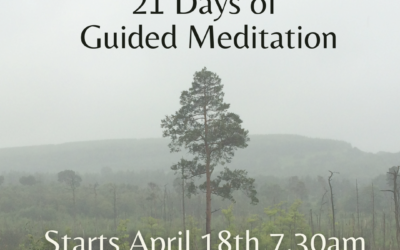 The FREE 21 Days of Guided Meditation course